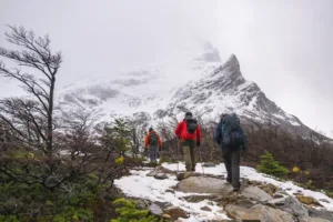 La revolución de la calma